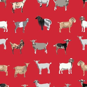 goats fabric - goat wallpaper, goat fabric, goat breeds, farm, farm animals fabric - red