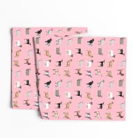 goats fabric - goat wallpaper, goat fabric, goat breeds, farm, farm animals fabric - pink