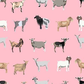 goats fabric - goat wallpaper, goat fabric, goat breeds, farm, farm animals fabric - pink