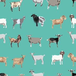 goats fabric - goat wallpaper, goat fabric, goat breeds, farm, farm animals fabric - turquoise