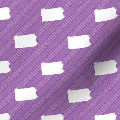 Pennsylvania State Shape Outline Purple and White Stripes