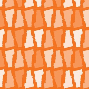 Vermont State Shape Pattern Orange and White