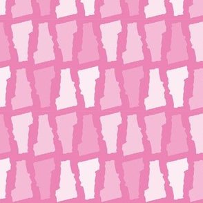 Vermont State Shape Pattern Pink and White