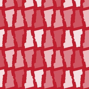 Vermont State Shape Pattern Red and White