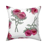 LARGE protea flower fabric - home decor fabric, protea wallpaper, protea flower bedding, protea flower design - bright pink