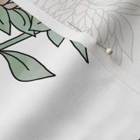 LARGE protea flower fabric - home decor fabric, protea wallpaper, protea flower bedding, protea flower design - white