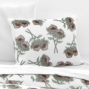 LARGE protea flower fabric - home decor fabric, protea wallpaper, protea flower bedding, protea flower design - white