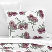 LARGE protea flower fabric - home decor fabric, protea wallpaper, protea flower bedding, protea flower design -  white and mauve