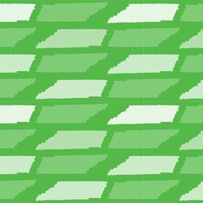 Tennessee State Shape Pattern Lime Green and White