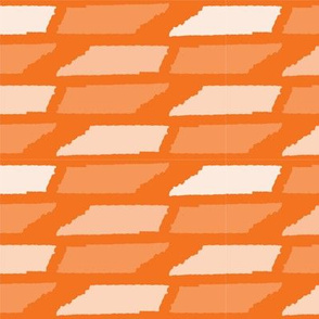 Tennessee State Shape Pattern Orange and White