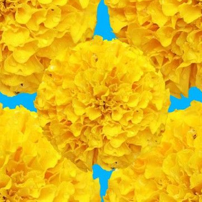 Mums the Word Yellow on Blue