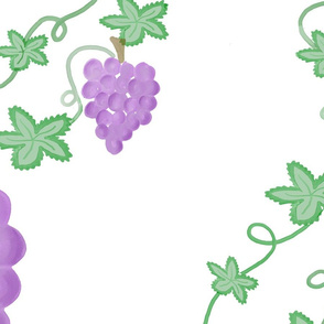 Watercolor Grape Vine