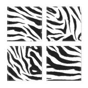 Painterly Abstract Zebra (Jumbo)