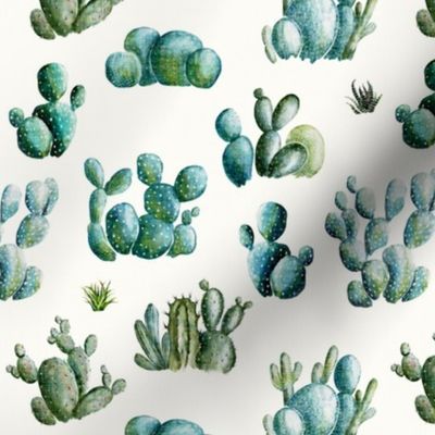 Desert Cactus // Off White