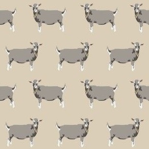 toggenburg goat fabric - goat fabric, farm animal fabric, farm fabric, animals fabric, goat fabric - tan