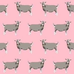 toggenburg goat fabric - goat fabric, farm animal fabric, farm fabric, animals fabric, goat fabric - pink