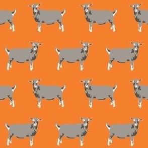 toggenburg goat fabric - goat fabric, farm animal fabric, farm fabric, animals fabric, goat fabric - orange