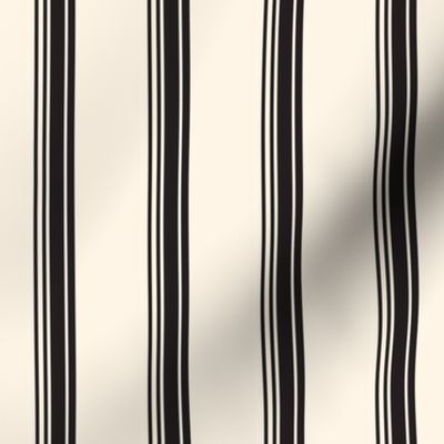 19-16f Jet Black Cream Ivory French Stripe