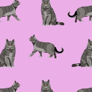 british shorthair cat fabric - cat fabric, british shorthair fabric, cats, cat breed, cat breeds, british blue cat - pastel lilac