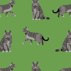 british shorthair cat fabric - cat fabric, british shorthair fabric, cats, cat breed, cat breeds, british blue cat - green