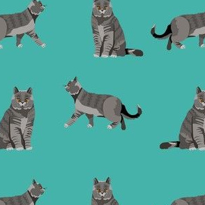 british shorthair cat fabric - cat fabric, british shorthair fabric, cats, cat breed, cat breeds, british blue cat - turquoise