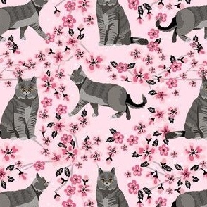 british shorthair cat fabric - cherry blossom, cat floral fabric, cat florals, cat design -pink