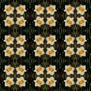 Daffodil square