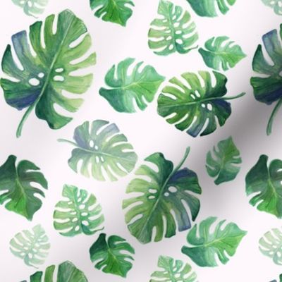 Watercolour monstera leaves