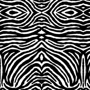 black and white zebra print medium by Pippa Shaw
