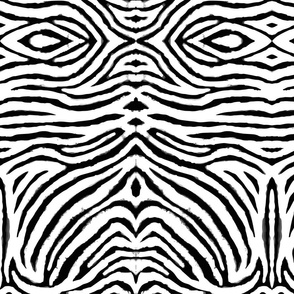 white and black zebra print medium by Pippa Shaw