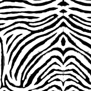 white and black zebra print large by Pippa Shaw