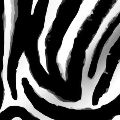 black and white zebra print XL by Pippa Shaw