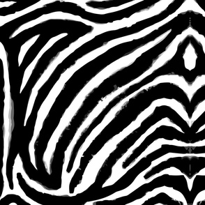 black and white zebra print XL by Pippa Shaw