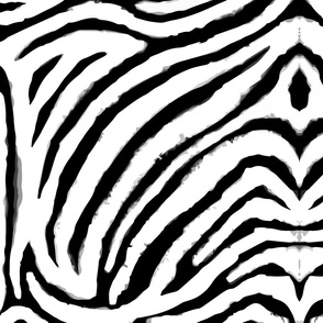 white and black zebra print XL by Pippa Shaw