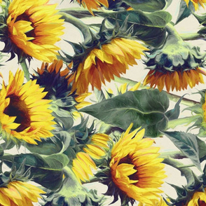 Sunflowers Forever Rotated