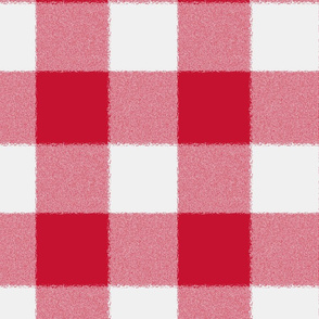 Fire Engine Red  - Big Time Gingham
