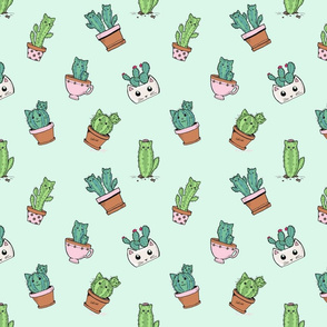 Cactus Cacti Cats