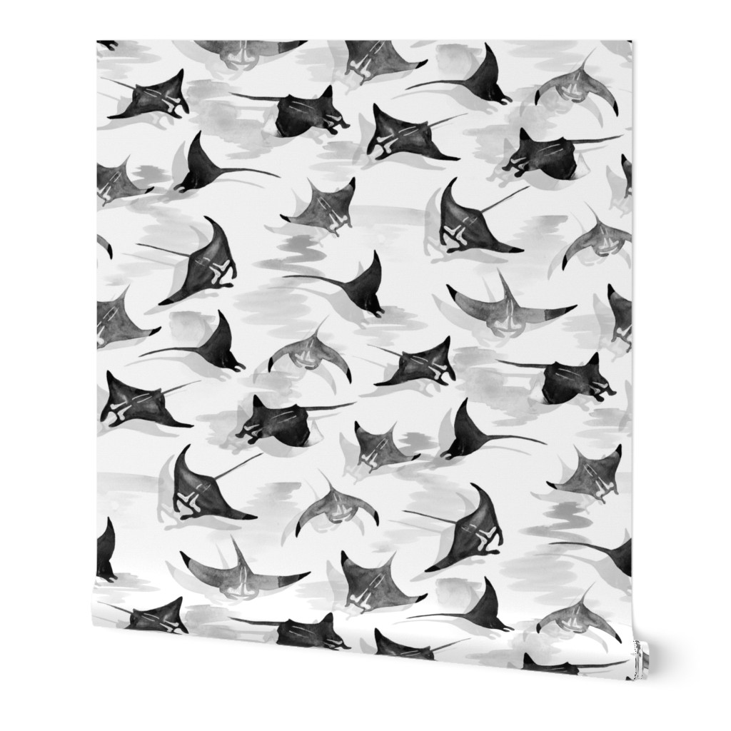 Manta Rays in Black and White