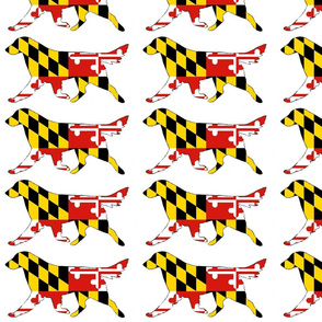 Maryland Flag Flat Coated Retriever