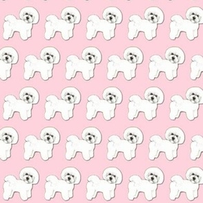 Bichon Frise dog fabric on  pink