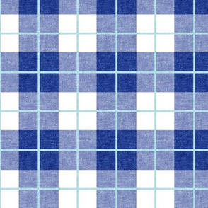 Spring plaid - blue on blue - double grid - LAD20