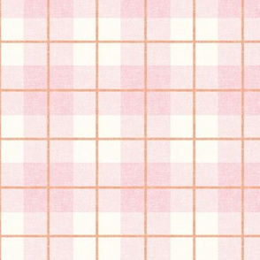 Spring plaid - peach on pink - double grid - LAD20