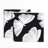 Painterly Butterflies, Black and White