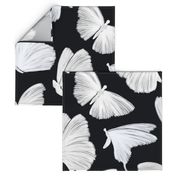 Painterly Butterflies, Black and White