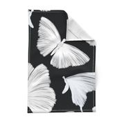 Painterly Butterflies, Black and White