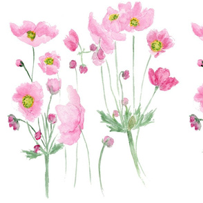 Pink Cosmos  in watercolour