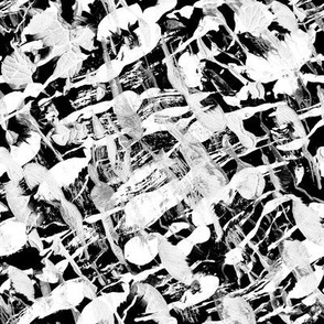 Black and White Abstraction