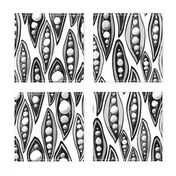 black and white pea pods | large