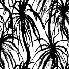 black and white tropical by rysunki_malunki