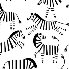 Black&white zebras